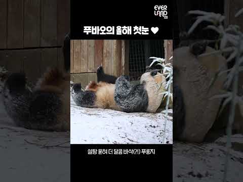 츄리닝 입고 금메달 기록 높이뛰기 우상혁