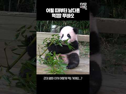 숏츠 테스트입니다.